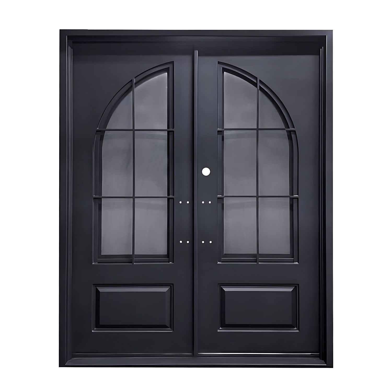 Iron Double Front Entry Door with Kickplate 6-Lite