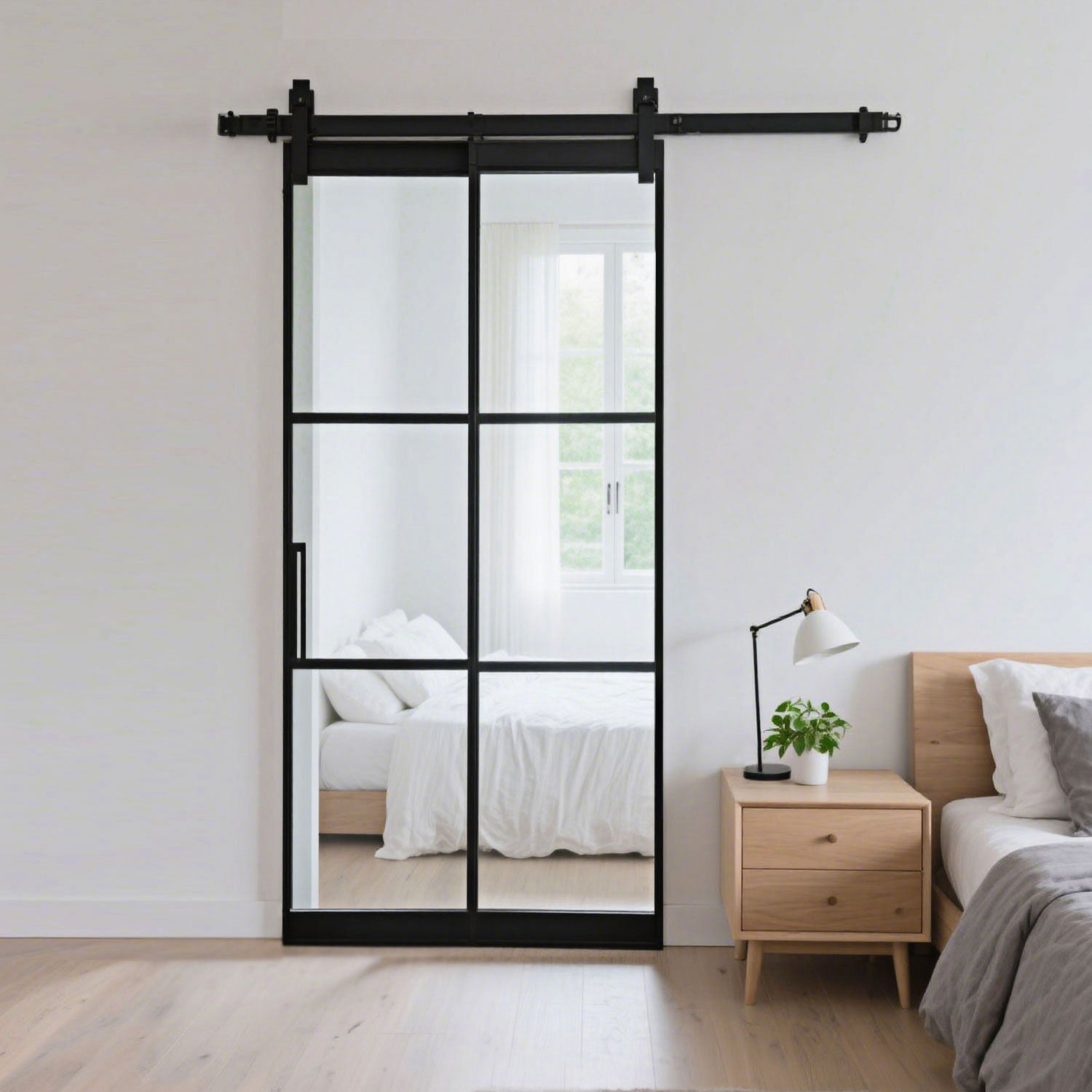 Barn door - 6 lite
